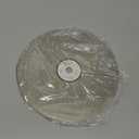 SCOTTCHEN Diamond Flat Lap Wheel 8" x 1/2" Grinding Sanding Disc Lapping Polishing Disc-120 Grit