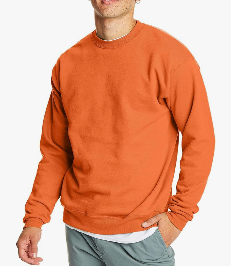 Hanes Men's EcoSmart Fleece, Pullover Crewneck Sweatshirt, L