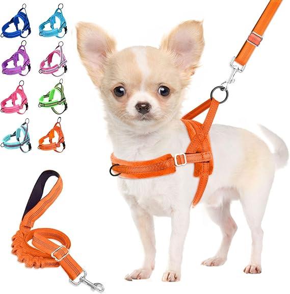Lukovee No Pull Dog Harness and Leash Set, Soft Padded Small Dog Harness, Neck & Chest Adjustable Reflective Vest Puppy Harness with 4ft Lightweight Anti-Twist Dog Leash for Small Dogs M