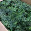 2Pack 6FT Artificial Cedar Tree, UV Resistant Fake Pine Tree