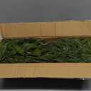 12Pcs Christmas Norfolk Pine Stems, 24'' Long Artificial Evergreen Norfolk Pine Branches, Real Touch Greenery Picks, Faux Floral Branch for Mantel DIY Xmas Home Decoration Indoor Christmas Decor