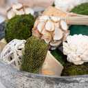 ANDALUCA Decorative Moss Balls Natural Bowl Filler Home Decor (Green Moss)