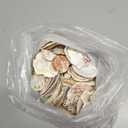 Super Z Outlet Sea Shells Mixed Beach Seashells - Various Sizes up to 2" Shells -Bag of Approx. 50 Seashells