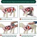 Kuoser Recovery Suit for Dogs Cats After Surgery, Professional Pet Recovery Shirt Dog Abdominal Wounds Bandages, Substitute E-Collar & Cone,Prevent Licking Dog Onesies Pet Surgery Recovery Suit M