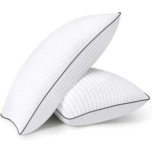 HYLEORY Bed Pillows Queen Set of 2 for Sleeping - Luxury Hotel Pillows, Soft & Supportive Down Alternative Microfiber Cooling Pillow for Night Sweats Back/Stomach/Side Sleepers, White