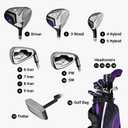 Strata 2019 Strata Ultimate 16-Piece Complete Set