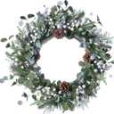 J'FLORU Christmas Wreaths for Front Door 20 Inch Artificial Christmas Wreath White Winter Wreath with Berries Pine Cones Pine Needles for Xmas Winter Holidays