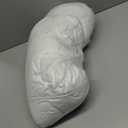 Feather Down Pillow Insert - 12x29 Throw Pillow, Large Lumbar Pillow Insert for Decorative Throw Pillow, Bed, Couch, and Cushion, Pack of 1