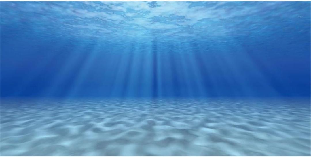 AWERT Undersea Theme Aquarium Background Sunshine Underwater World Fish Tank Background 24x12 inches