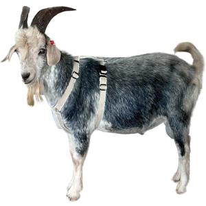 Asatre Adjustable Lined Hemp Goat Harness, Sheep, Livestock Durable Multi-Clasp Livestock Gear, Comfortable Farm Pet Accessory (Large)