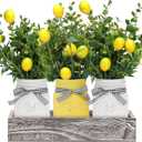 Summer Lemon Mason Jars Centerpiece for Table, Wood Tray with 3 Painted Jars, Dining Coffee Table Centerpiece For Kitchen, Living Room, Spring & Summer Home Decor with Lemon