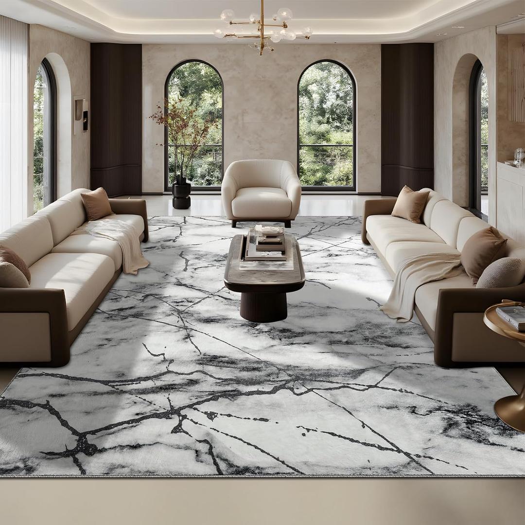 CRYPTOLITE Area Rugs 9x12 Rug for Living Room Abstract Washable Rug with Non-Slip Backing Low Pile Area Rugs for Bedroom, Dining Room, Silver&Grey