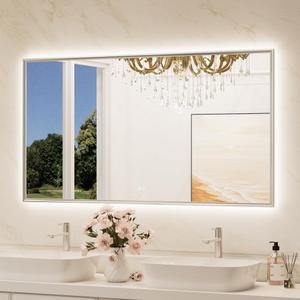 TokeShimi 55"x 30" Bathroom Mirror Backlit with Brushed Nickel Frame, Dimmable Backlight LED Lighted Vanity Mirror with Shatter-Proof, Memory, 3 Colors, Anti-Fog Mirror with HD Tempered Glass