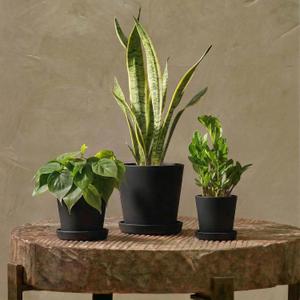 Bamworld Plant Pots Indoor with Drainage Holes- Set of 3 Pots for Plants(5.8/6.7/7.9Inch) Plastic Flower Pot Planters for Indoor Outdoor Plants Garden Pots for Room & Office Décor Black, Inverted cone