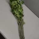 6 Pcs 6pcs Faux Stems and Branches for Vase 31.5inch Fake Plants Artificial Greenery Stems Faux Branches for Home Vase Wedding Garden Farmhouse Table Mantel Decor