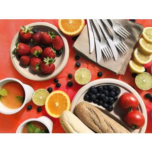 100% Compostable Rectangle Tablecloths [Red 2 Pack] Picnic Table Cover, Heavy-Duty Disposable Tablecloth, Biodegradable, For Outdoor, Birthday Party, by Earth's Natural Alternative