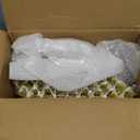 BESTVIP 175PCS Gold Plastic Dinnerware Set, Disposable Party Plates for 25 Guests, Include: 50 Plastic Plates, 25 Pre Rolled Napkins with Gold Silverware, 25 Cups for Christmas, Halloween