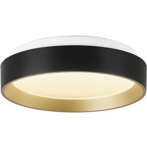ANYLOVE 10 Inch Modern Flush Mount Ceiling Lights,White Gold Plastic Round Ceiling Light,Dimmable 3000K,3500K,4000K,5000K,6000K,for Living Room,Dining Room,Bedroom,Kitchen (Black and Gold, 10 Inch)