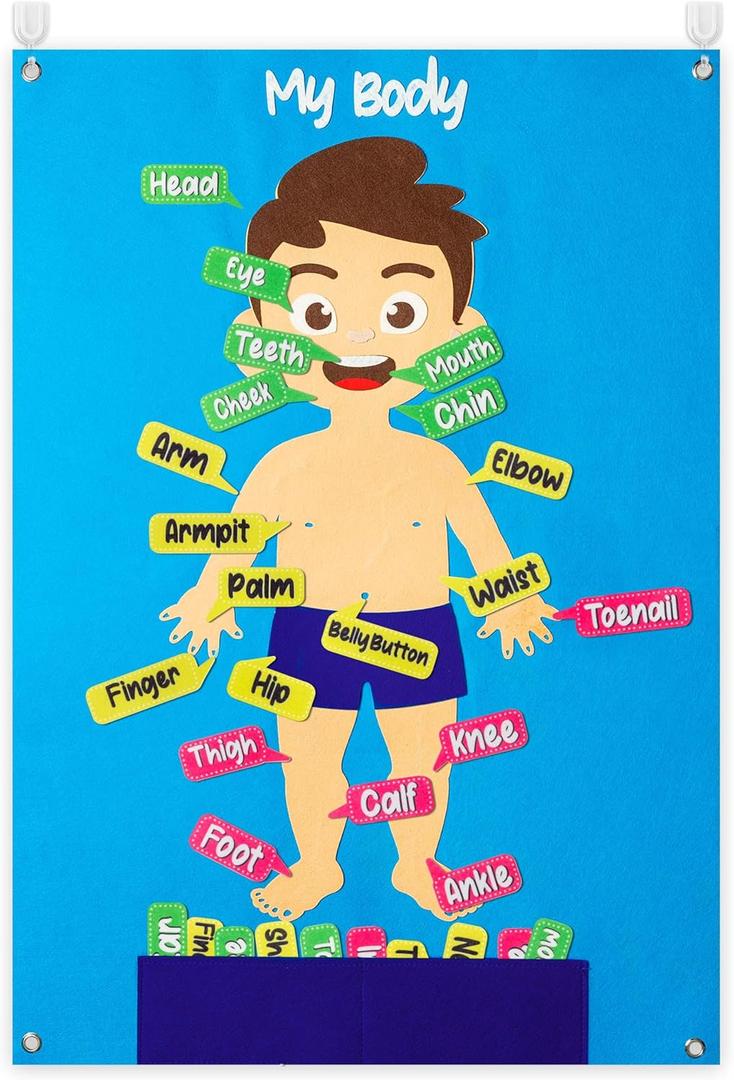 WATINC 35Pcs Body Parts Learning Felt Story Board Set Preschool Human Organ Educational Teaching Storytelling Early Learning Interactive Play Kit Wall Hanging Gift for Toddlers Kids 41 x 30 Inch (Fair Skin)