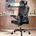 Ergonomic Office Chair: Mesh Desk Chair Comfy with Headrest& Lumbar Support, Pack of 1