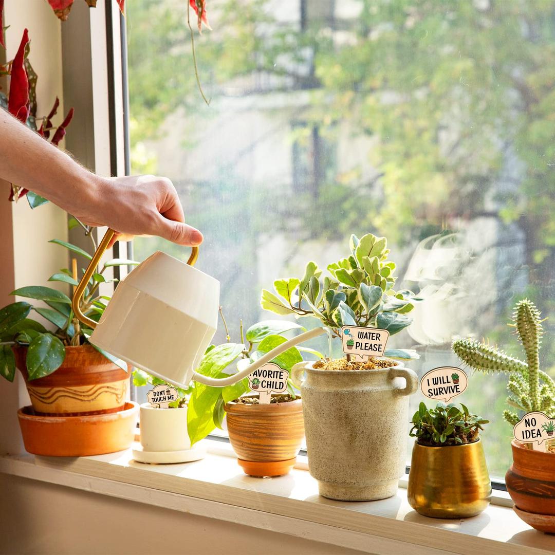 Pendaflex File Folders 24 Pack. Funny Wooden Plant Markers for Succulent Flowers Greenery Plants