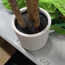 Artificial Fiddle Leaf Fig Tree 6FT with White Tall Planter-Large Faux Tree Tall Fake Floor Plant in Pot,Artificial Plants Indoor for Home Office Living Room Décor(Lyrata 6FT)