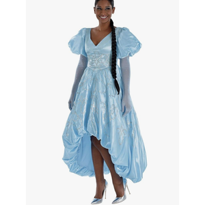 Party City Cinderella Costume for Women - Disney Descendants 4 The Rise of Red Costume Size XL