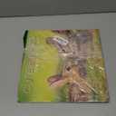 Cute Bunnies - 2025 Square Wall Calendar 16 month by Gifted Stationery