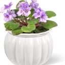 BUYMAX African Violet Pots, 6 inch Pumpkin-Style Ceramic Easy Self Watering Plant Pot for Busy Plant Lovers, Automatically Absorb Appropriate Amount of Water, Flower Pot Indoor-Plants Not Included