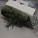 EverGrace Chenille Knit Throw Blanket for Couch, 50"x60", Olive Green