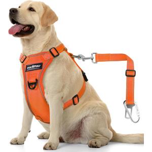 VavoPaw Dog Seat Belt Harness for Car, Dog Car Harness Adjustable Mesh Breathable & Dogs Seatbelt Safety Tether with Elastic Bungee for Small Medium Large Pets(Orange, L)