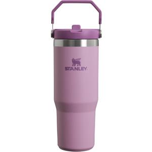 Stanley IceFlow Flip Straw Tumbler with Handle | Twist On Lid and Flip Up Straw | Leak Resistant Water Bottle | Insulated Stainless Steel | BPA-Free (30 Ounces, Lilac)