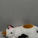 gnomantic 5 Pieces Cat Stuffed Animals with Babies Inside Belly - 1 Mommy Cat with 4 Kittens - Stuffed Kitty Cat Plush Toys for Kids Age 3-8, Gifts Ideal for Christmas, Valentine's, Birthday