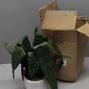 Beebel Artificial Snake Plant 22 Inch Fake Sansevieria Fake Agave Potted Plants Plastic Greenery for Home Garden Office Store Decoration 12 Leaves (Green)