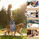 Dog Lift Harness for Large Dogs, Adjustable Dog Sling for Back Legs, Hip Support Harness to Help Lift Dogs Rear for Helps Senior, Injured, Disabled and After ACL Surgery Dogs - Large, Grey