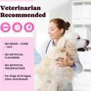 Premium Collagen for Dogs & Cats  5 Types of Grass-Fed Collagen (I, II, III, V & X), Fast Allergy & Itch Relief Dog Colgeno with MSM, Biotin & Hyaluronic Acid  Supports Healthy Skin & Joints 120ml