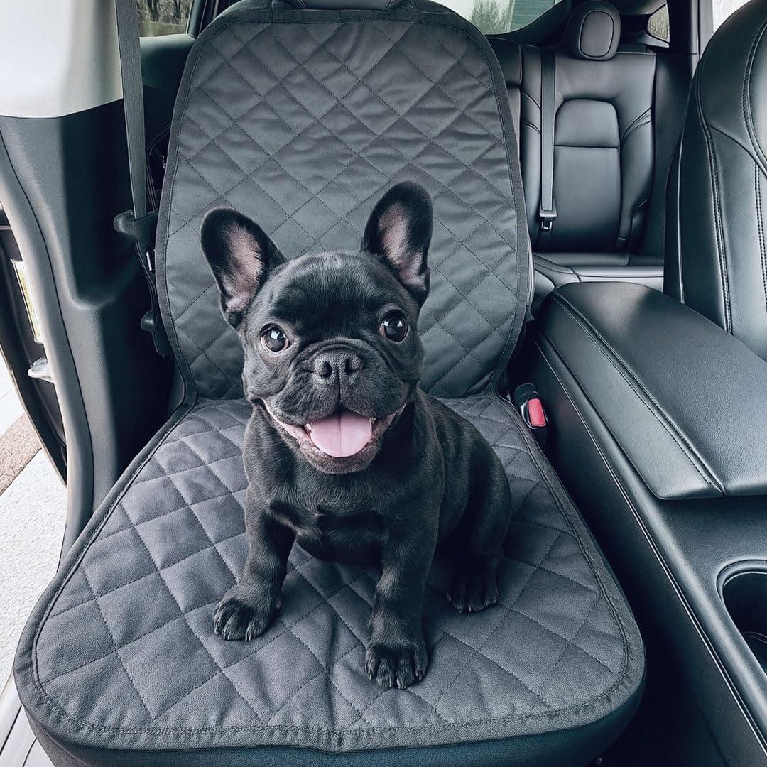 VION Tesla Model 3/Y Passenger Seat Cover/Pet Liner