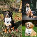 5 x Pregnancy Announcement Dog Bandanas Our Humans are Getting Us A Baby I Thought I was The Baby Dog Bandana Adjustable Triangle Double Layer Reversible Pet Scarves for Small Medium Large Dogs, 2 Pack