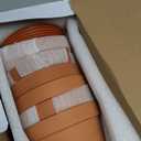 6 Pack 6 Inch Terracotta & Clay Pots with Saucer for Plants, Large Terra Cotta Plant Pot with Drainage Hole, Flowerpot for Indoor Outdoor Plants, Crafts, Wedding Favor