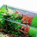 Gatuida 2Pcs Ceramic Floating Fish Ornaments for Garden Pond Bathtub Aquarium D Cor Koi Fish Figurines 3.93 Inch