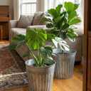vensovo 12 Inches Silver Metal Rustic Plant Pots - 3 Pcs Large Galvanized Planters with Drain Hole and Rubber Plug, Rustproof Tin Bucket Flowerpot for Indoor Plants Farmhouse Vintage Style for Decor