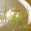 3 Pcs Crystal Sun Catchers Window Suncatchers Boho Decor Green Plants Artificial Hanging Wind Chime Making Rainbow Lights for Indoor Outdoor Decor