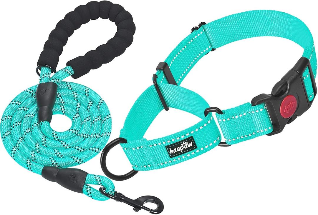 haapaw Martingale Dog Collar with Quick Release Buckle Reflective Dog Training Collars for Medium Dogs (Turquoise)