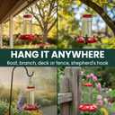 Perky-Pet 220 The Grand Master 48-Ounce Hummingbird Feeder