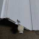 DIYHD 32X80in White PVC Accordion Door - Folding Closet Door with Mounting Hardware, Handle and Latch