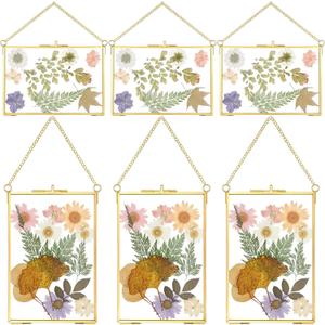 Treela 6 Pcs Pressed Flower Glass Picture Frames 6 x 4 Inch Brass Hanging Double Glass Frame Gold Floating Photo Frame Clear Horizontal Vertical Frames with Chain for Gallery Vintage Artwork Display