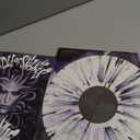 Circle Of Snakes, Vinyl