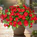 Daynight 8 Pcs Artificial Impatiens Flowers for Outdoor Flowers UV Resistant Faux Red Flowers Impatiens Bushes Silk Artificial Flowers Bouquet for Patio Garden Porch Decor. (8, Red)
