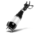 A-Premium Front Left Air Suspension Strut Assembly Compatible with Mercedes-Benz GL350 GL450 GL500 GL550 GL63 AMG GLE300d GLE350 GLE400 GLE500 GLE550e ML250 ML350 ML400 ML550 ML63 AMG, Driver Side