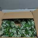 St Patricks Day Decorations Artificial Wreath Lucky Shamrock Clover Leprechaun Hat Beers Spring Summer Party Decor Outdoor/Indoor Farmhouse Front Porch Wall Window Door (Green)